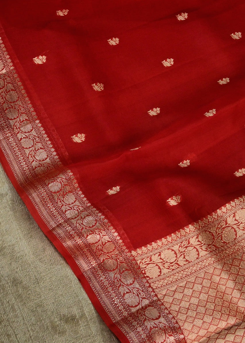 Red Organza Thin Border Saree