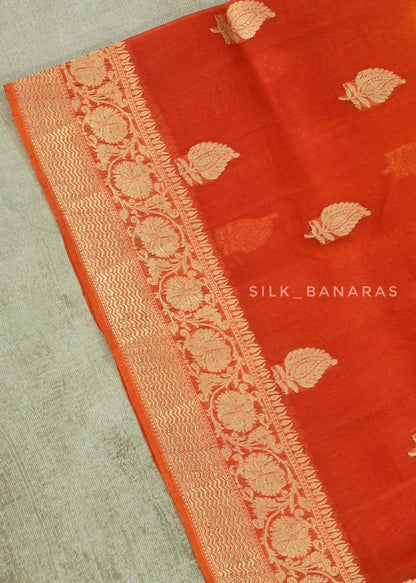 Handwoven Double Shade Banarasi Organza Silk Saree
