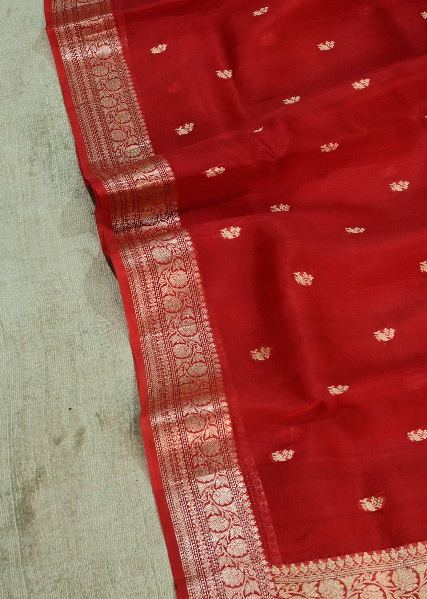 Red Organza Thin Border Saree