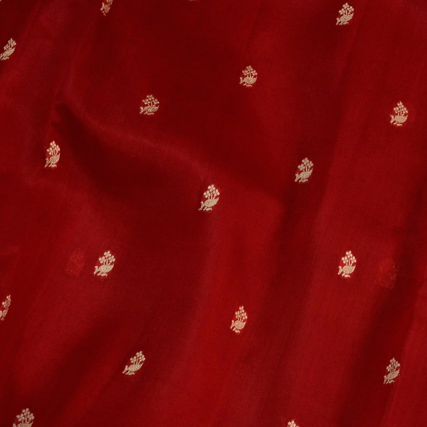 Red Organza Thin Border Saree