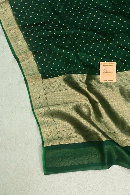 Beautiful Banarasi Kora organza saree