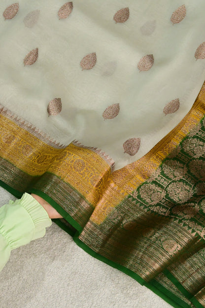 Classic Off-White Pure Organza Silk Saree with Golden-Green Antique Zari Borders