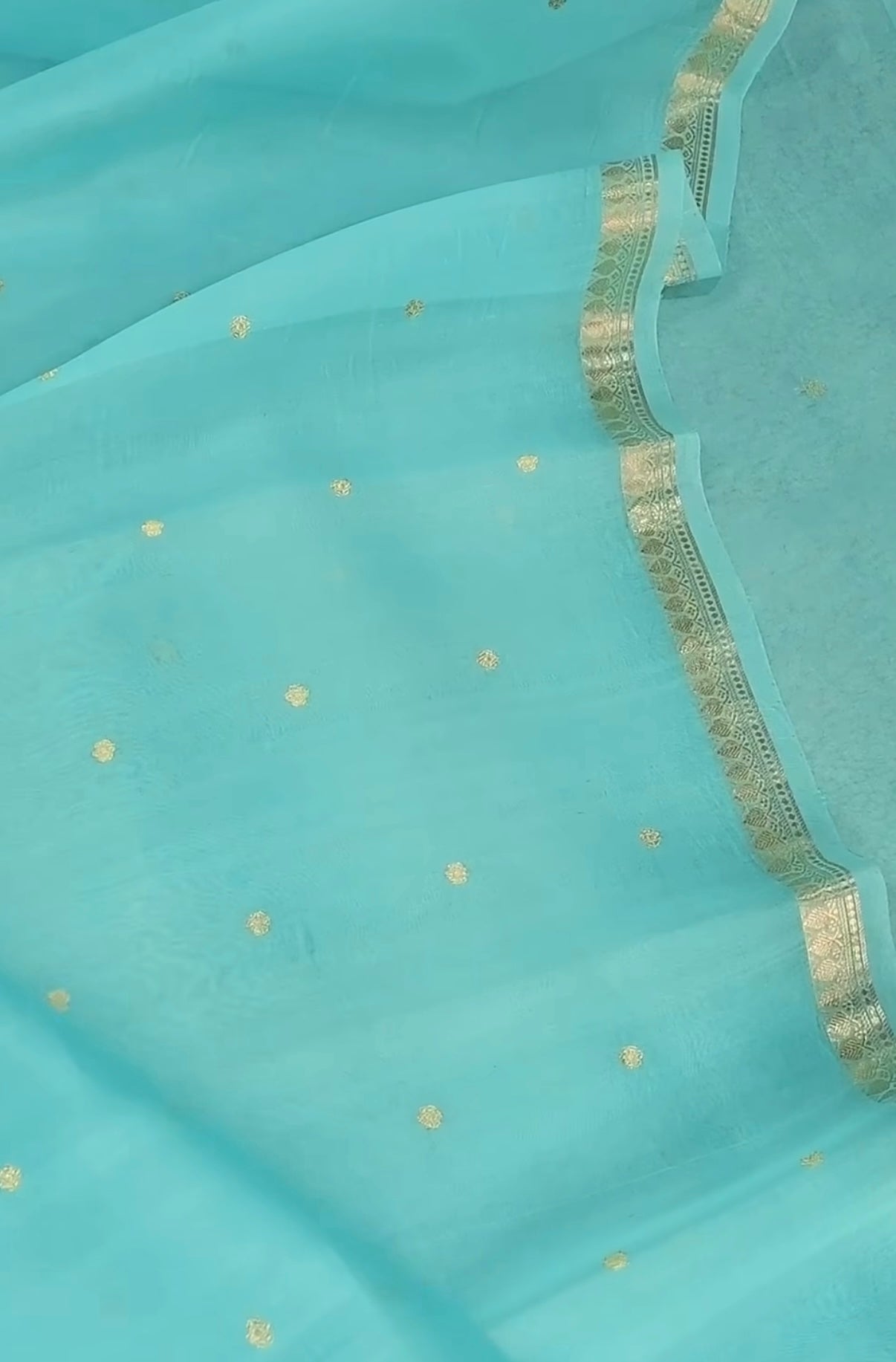 Sky Blue Pure Kora Organza Handloom Saree with Gold Zari work