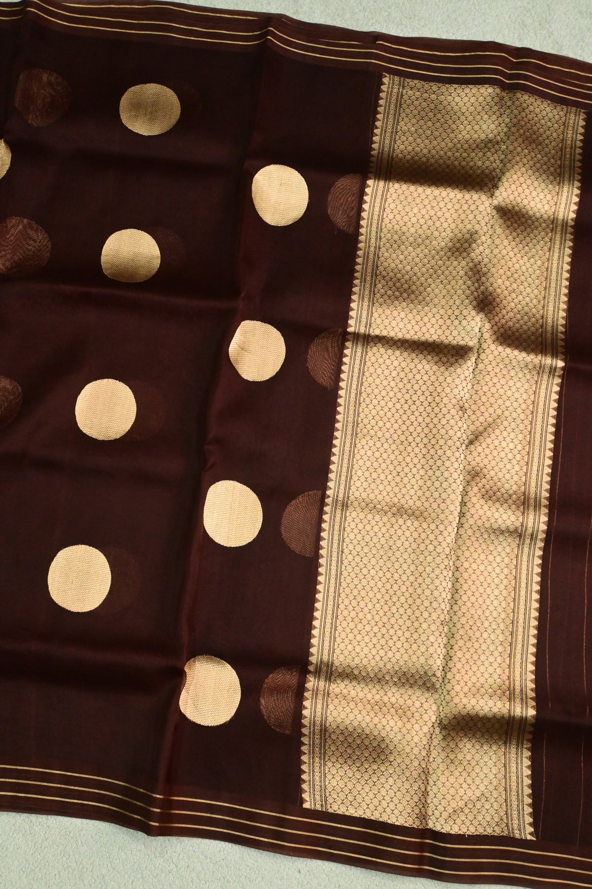 Deep Chocolate Brown Pure Kora Silk Saree with Golden Zari Polka Dots