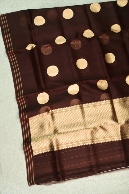 Deep Chocolate Brown Pure Kora Silk Saree with Golden Zari Polka Dots