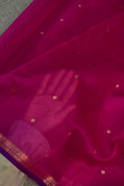 Pure Kora organza saree featuring delicate gold buttis and a contrast purple edge