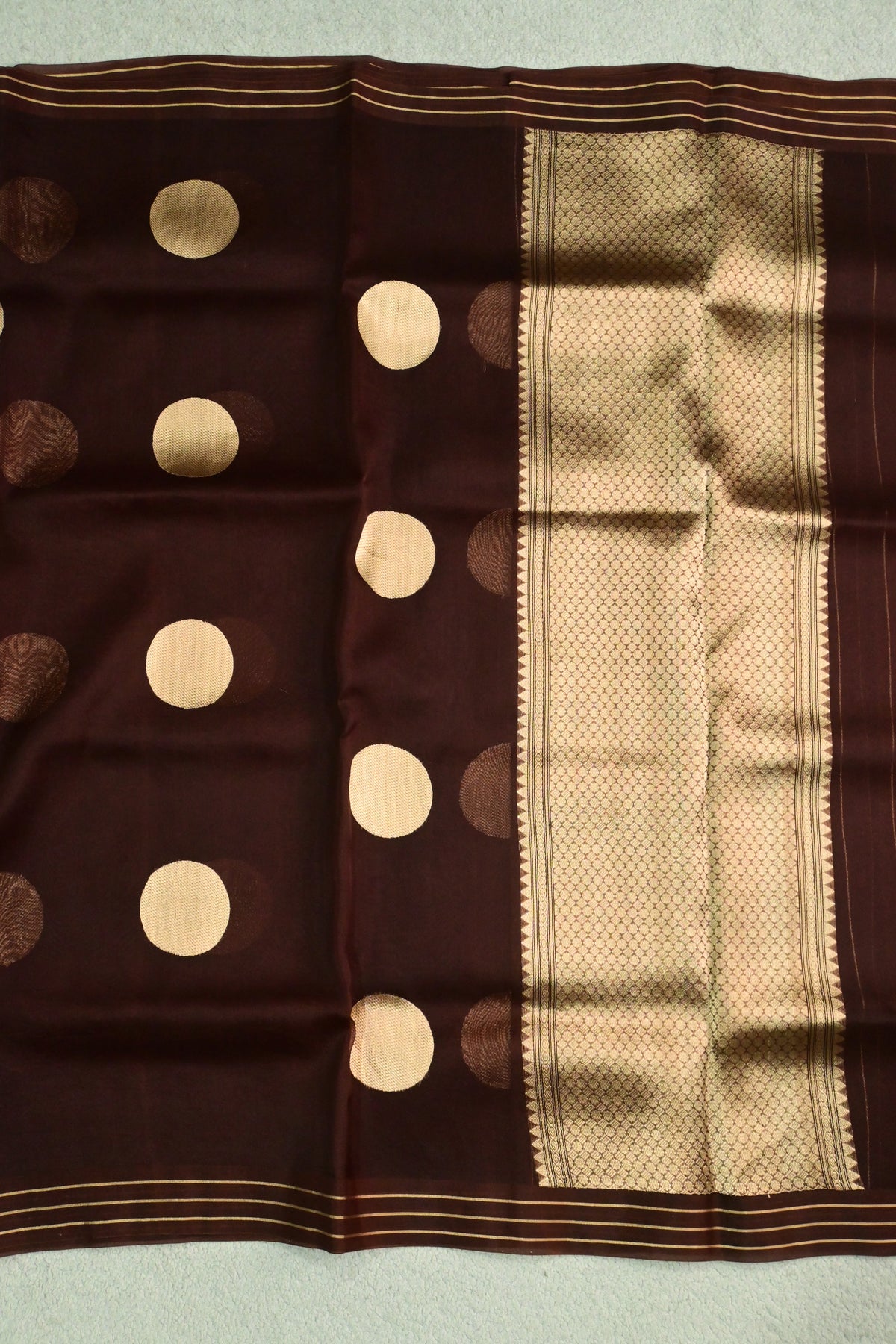 Deep Chocolate Brown Pure Kora Silk Saree with Golden Zari Polka Dots