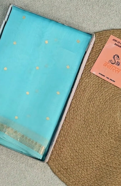 Sky Blue Pure Kora Organza Handloom Saree with Gold Zari work