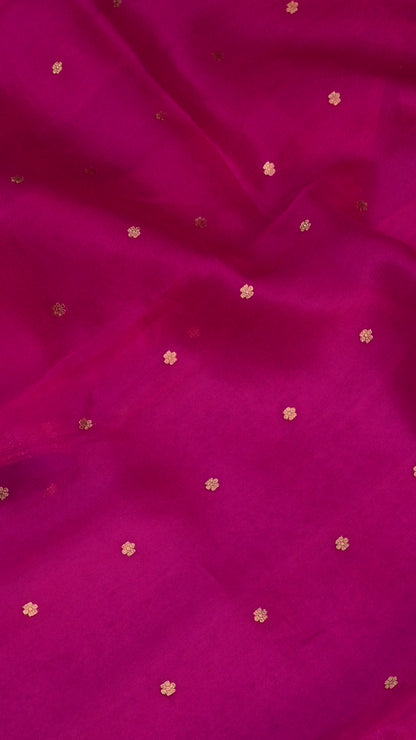 Pure Kora organza saree featuring delicate gold buttis and a contrast purple edge